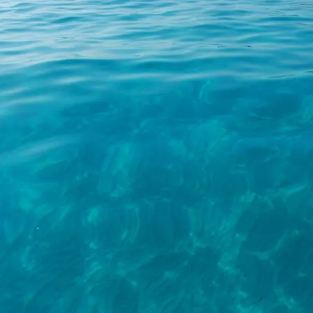 شقة Blue Iun S0079